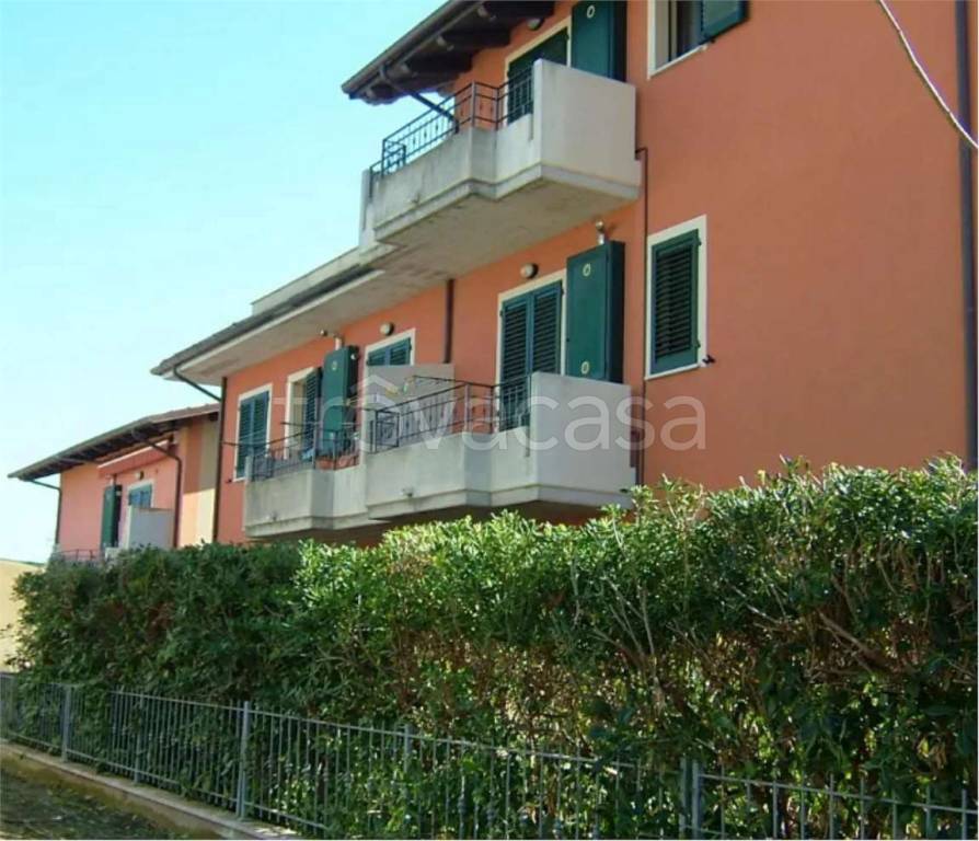 immagine annuncio 9 di 12