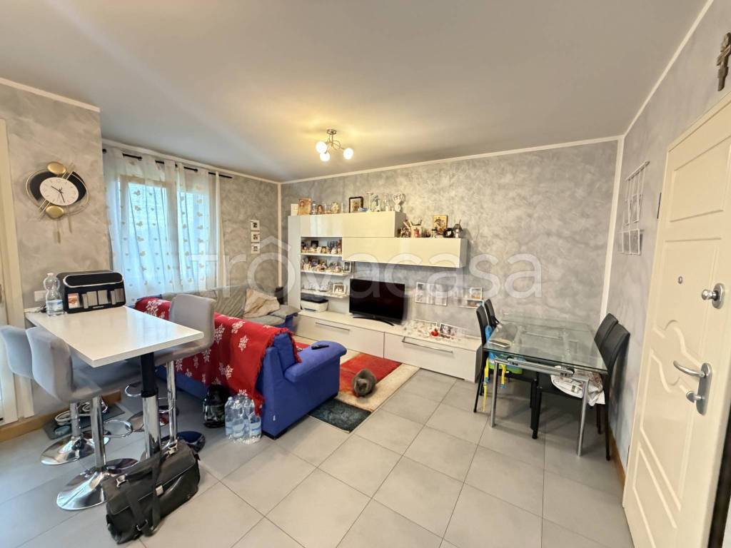 immagine annuncio 1 di 12