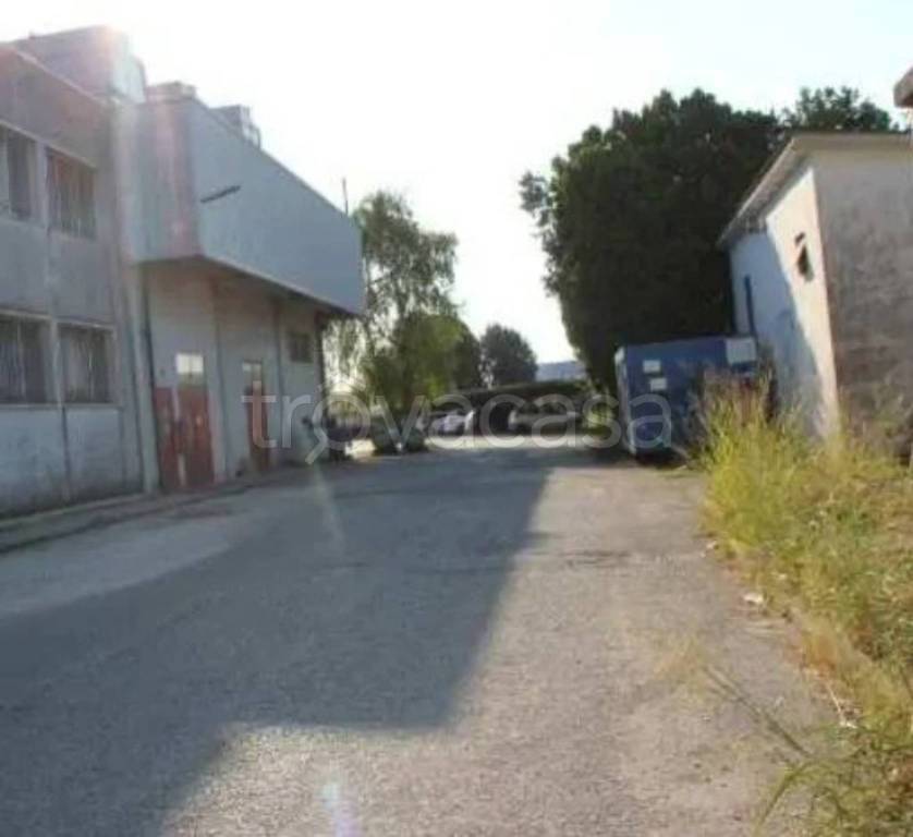 immagine annuncio 4 di 14