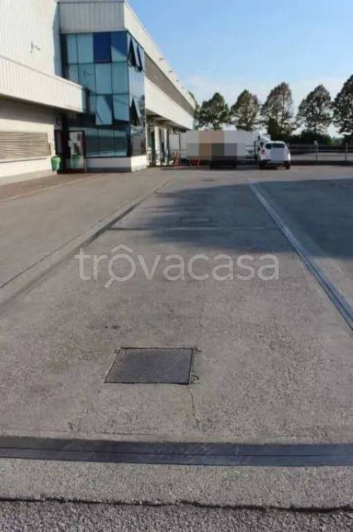 immagine annuncio 7 di 14