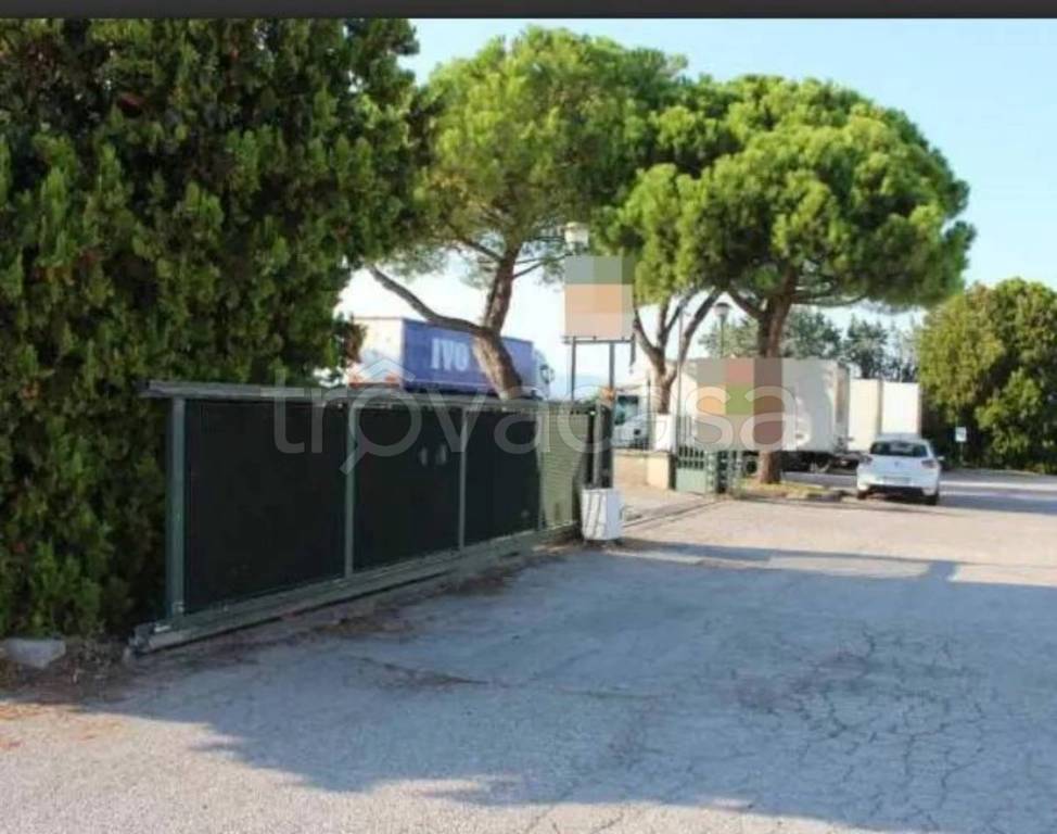 immagine annuncio 8 di 14