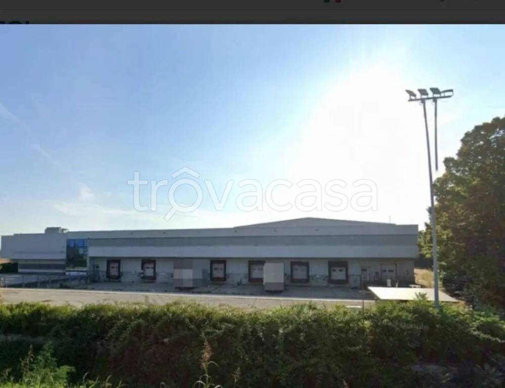 immagine annuncio 11 di 14