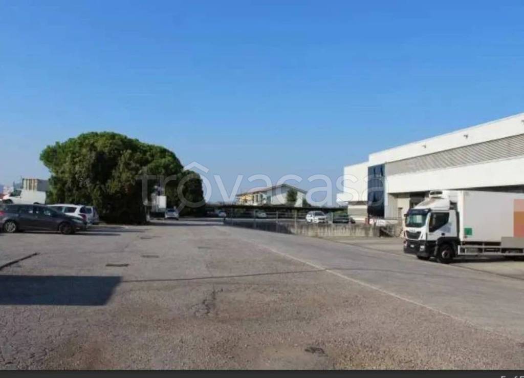 immagine annuncio 12 di 14