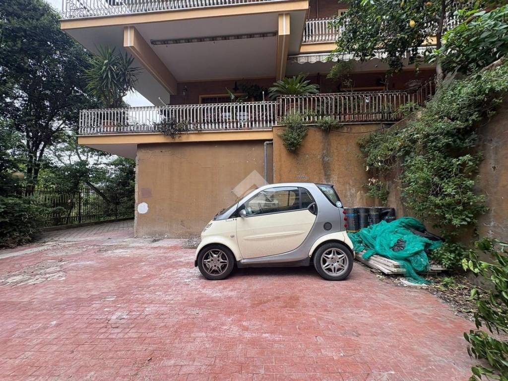 immagine annuncio 7 di 8