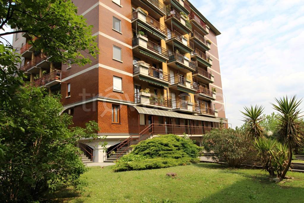 immagine annuncio 11 di 13