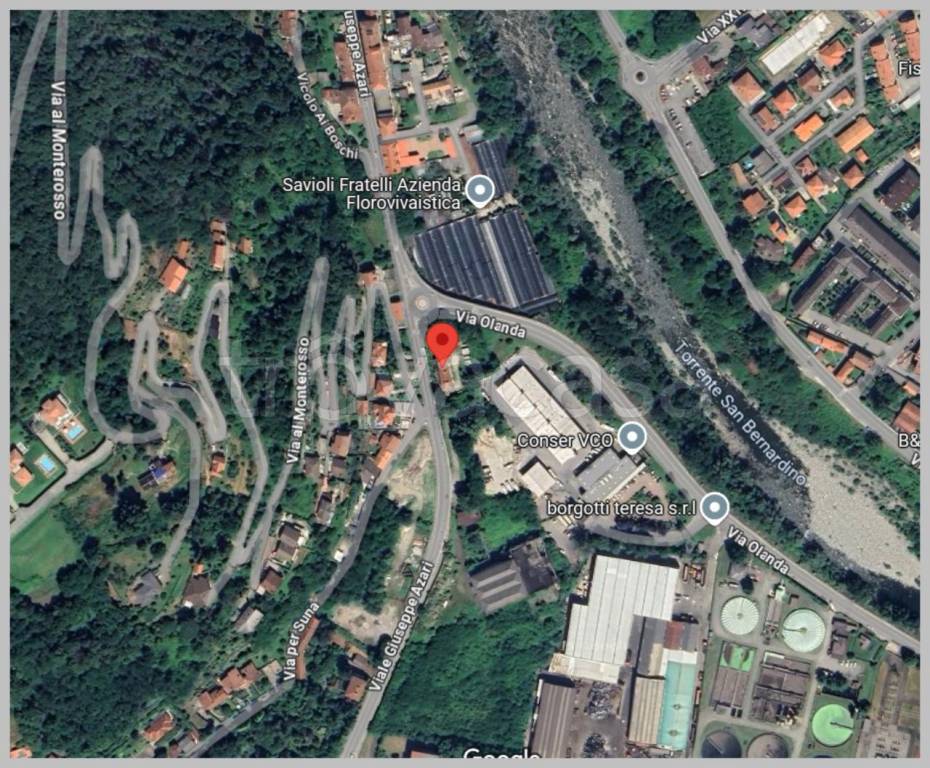 immagine annuncio 13 di 15