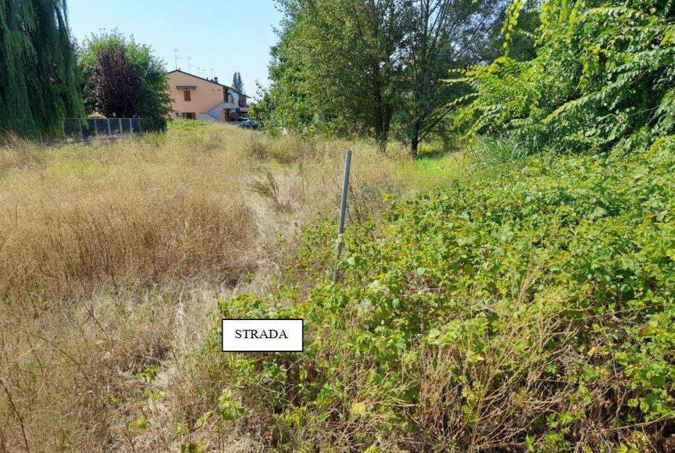 immagine annuncio 3 di 13