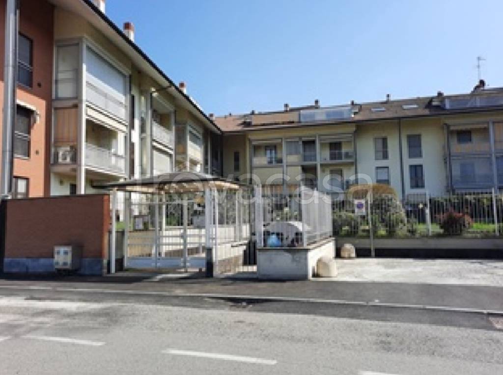 immagine annuncio 1 di 15