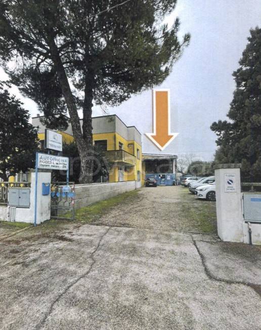 immagine annuncio 9 di 14