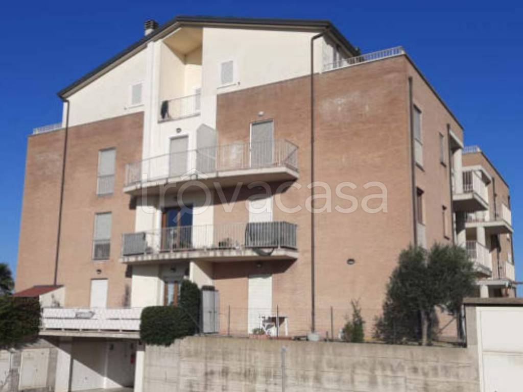 immagine annuncio 1 di 11