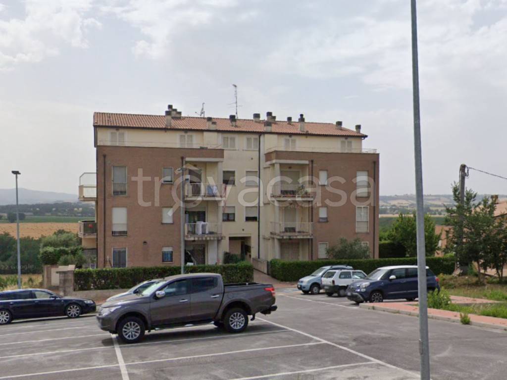 immagine annuncio 9 di 11