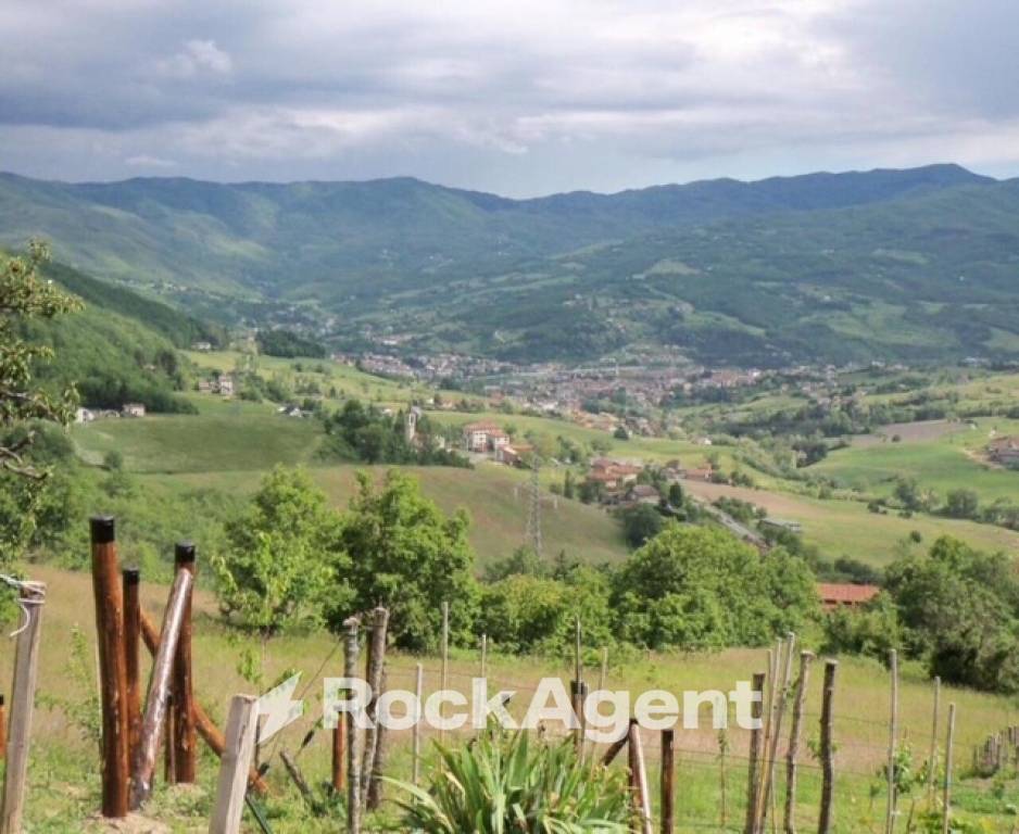 immagine annuncio 6 di 12