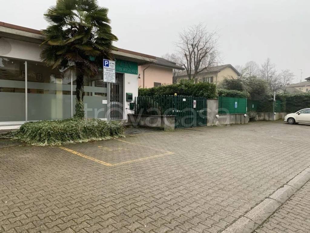 immagine annuncio 12 di 15