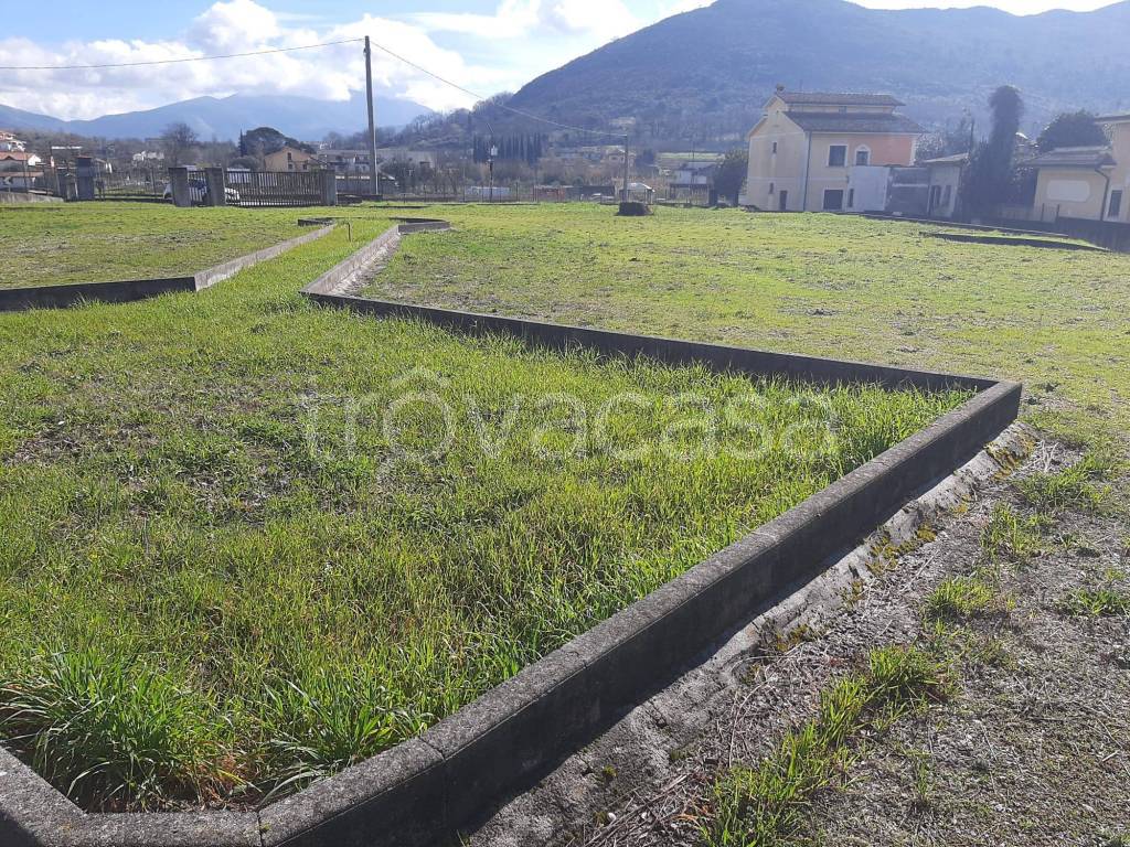 immagine annuncio 9 di 12