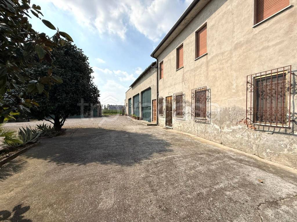 immagine annuncio 5 di 15