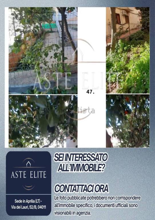 immagine annuncio 13 di 14
