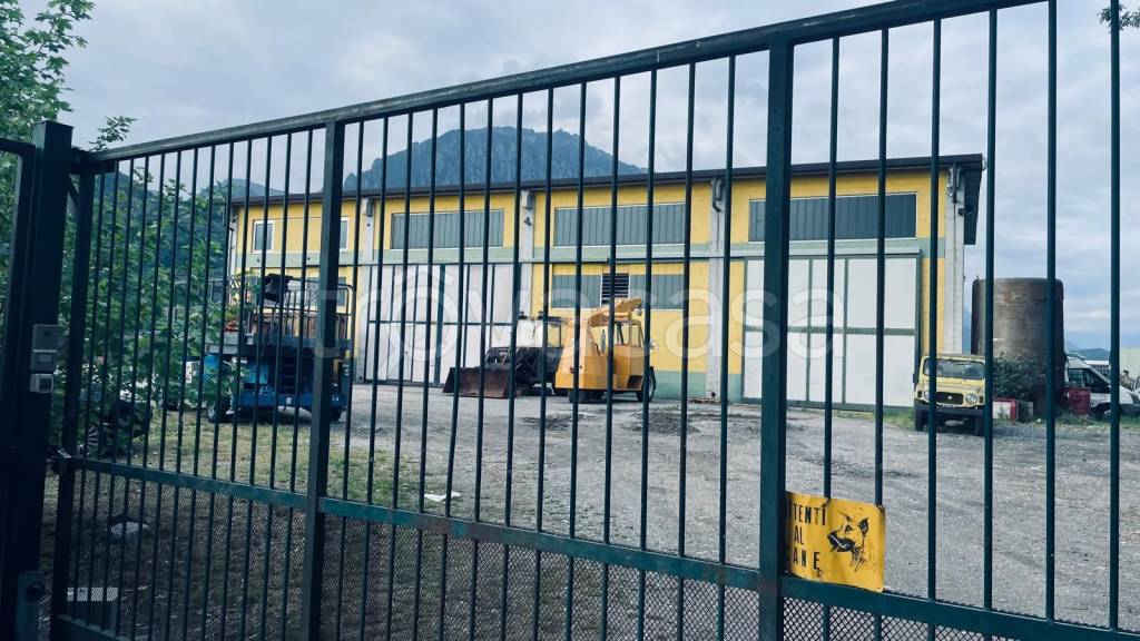 immagine annuncio 1 di 2
