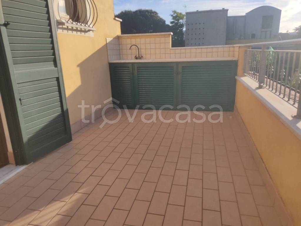 immagine annuncio 9 di 14