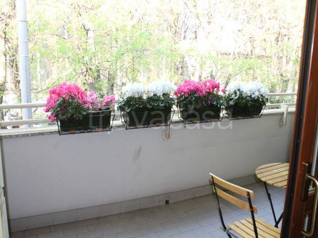 immagine annuncio 6 di 12