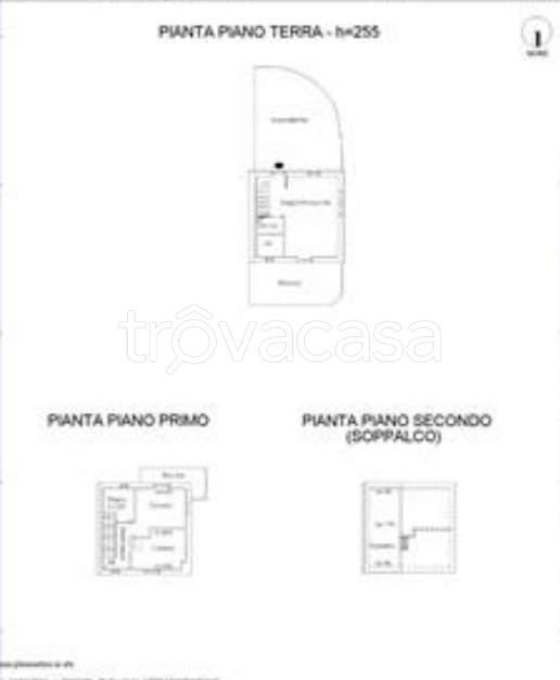 immagine annuncio 10 di 13