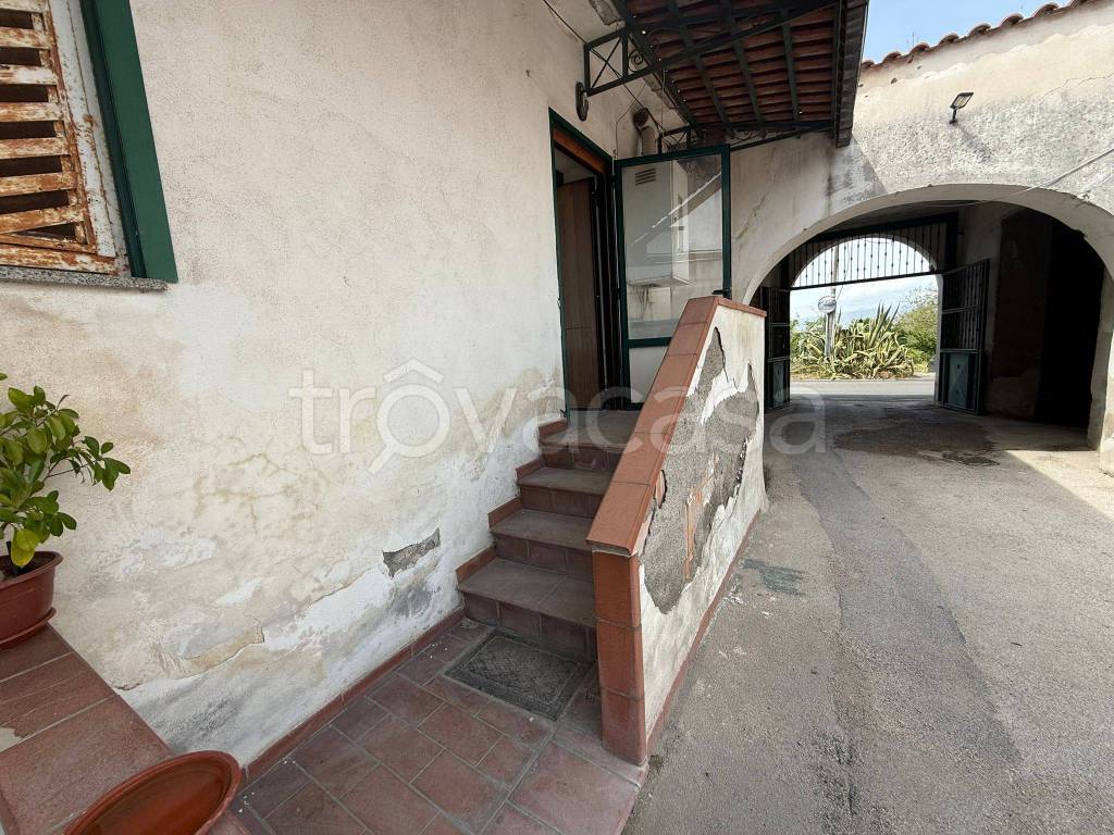 immagine annuncio 5 di 14