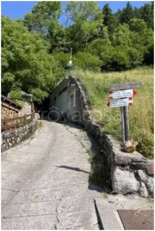 immagine annuncio 5 di 12