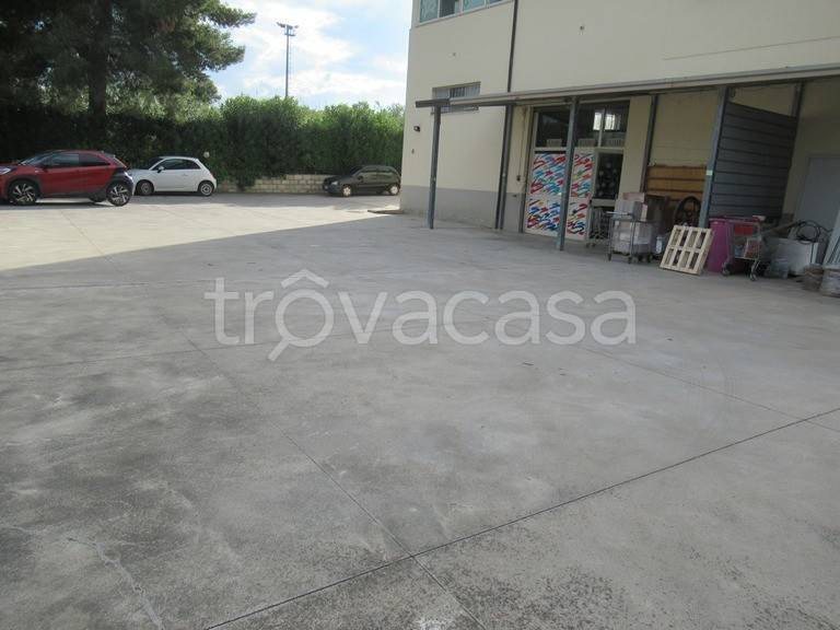immagine annuncio 6 di 12