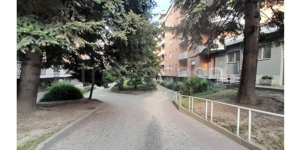 immagine annuncio 13 di 14