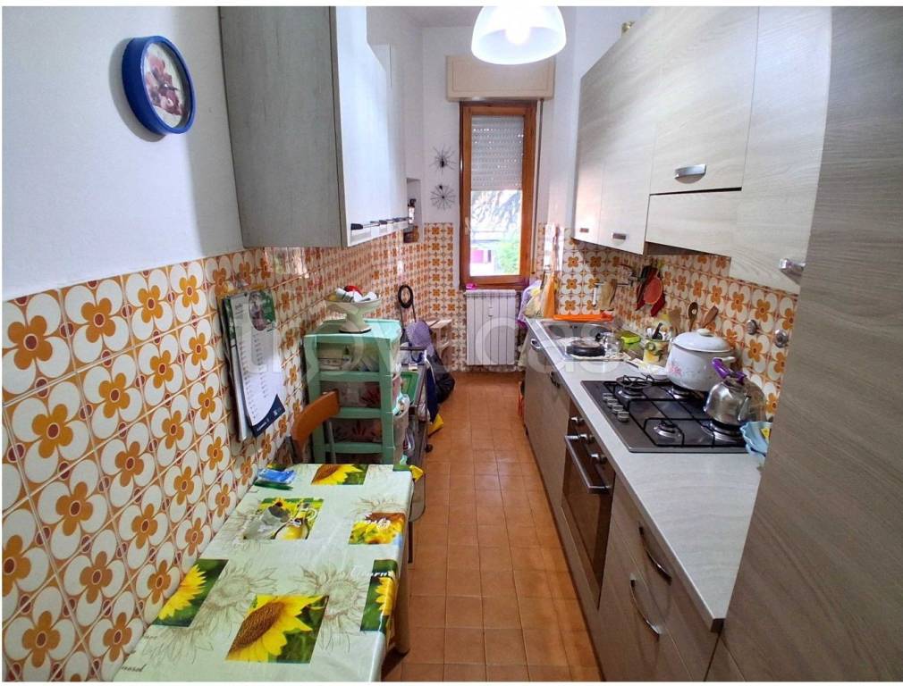 immagine annuncio 4 di 14