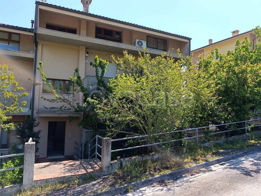 immagine annuncio 1 di 14