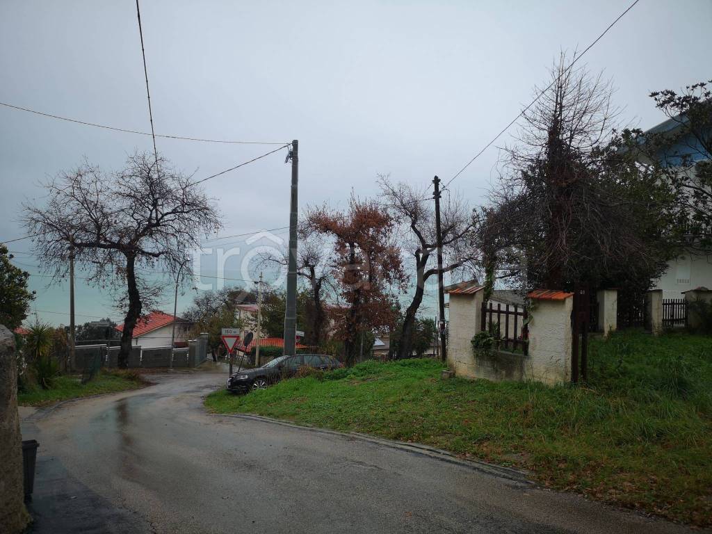 immagine annuncio 3 di 11