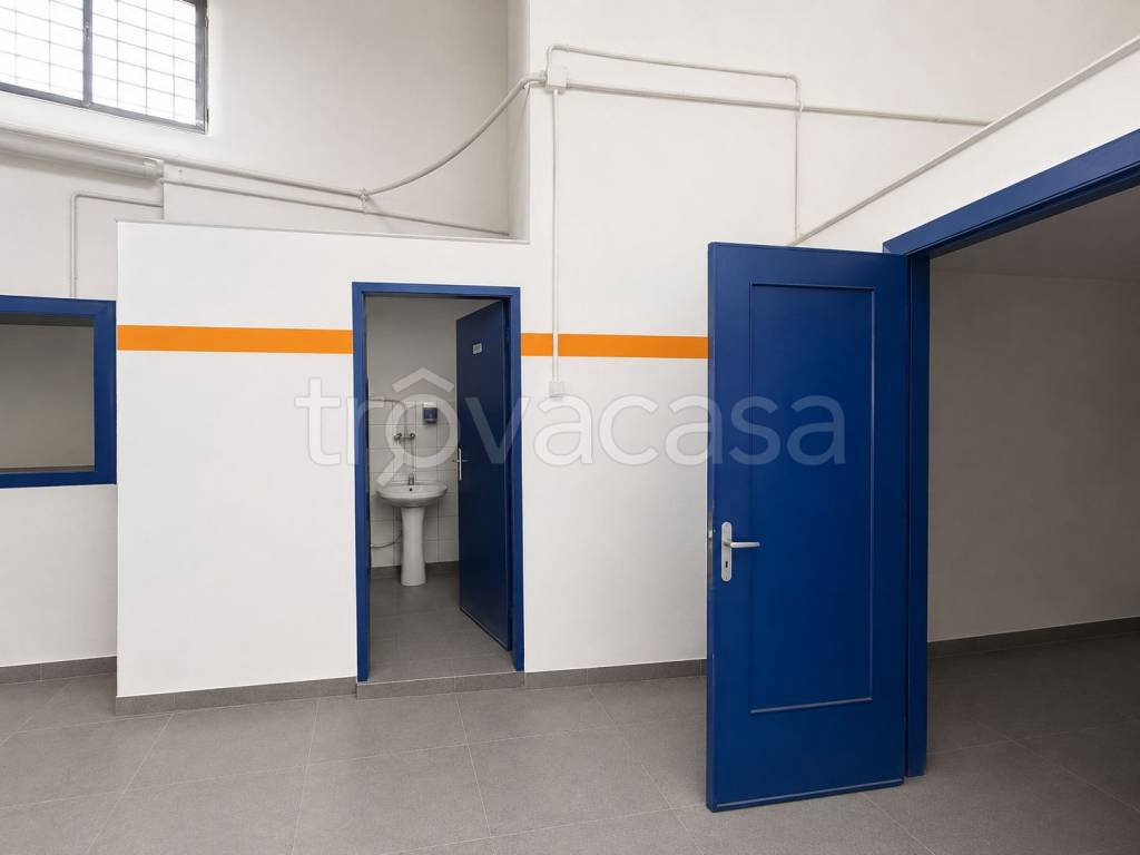 immagine annuncio 5 di 6