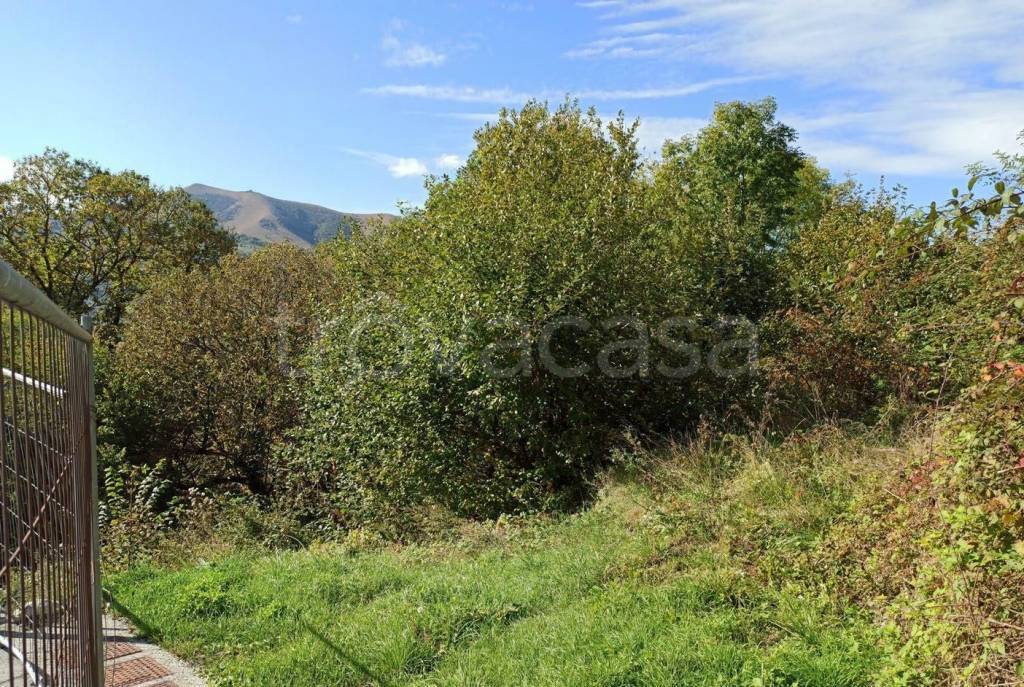 immagine annuncio 3 di 7