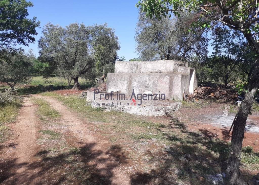 immagine annuncio 1 di 3