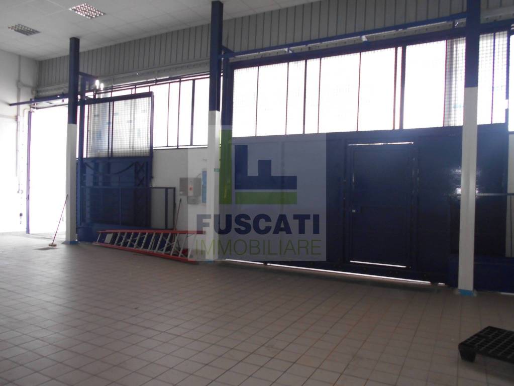 immagine annuncio 2 di 12