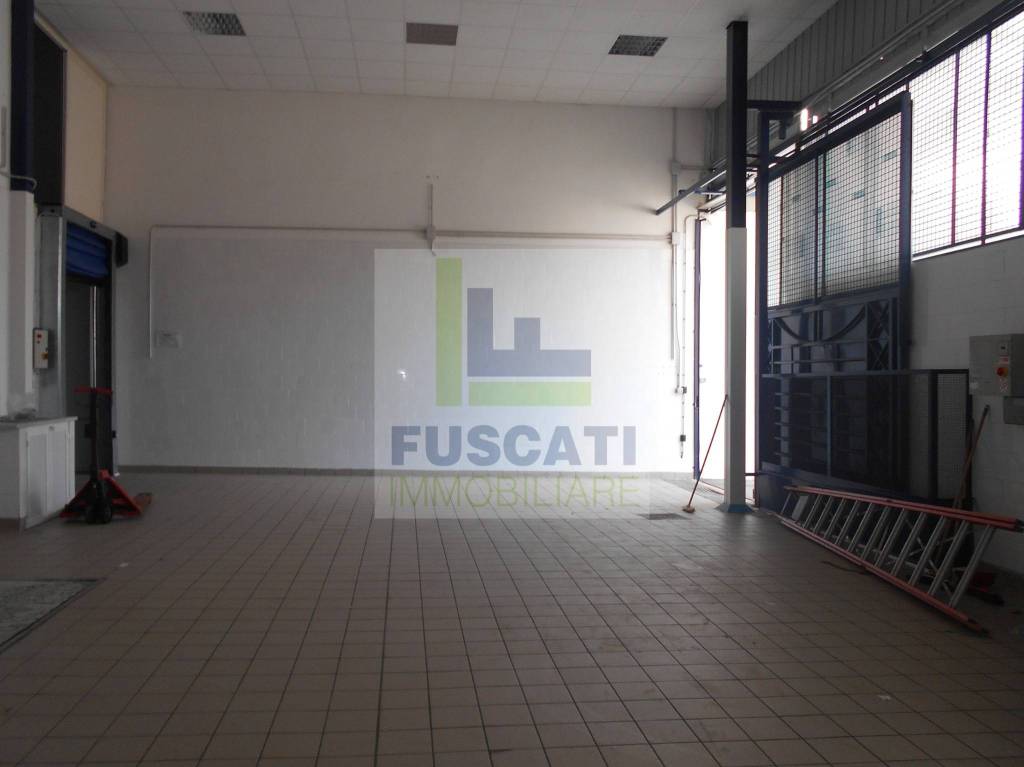 immagine annuncio 3 di 12