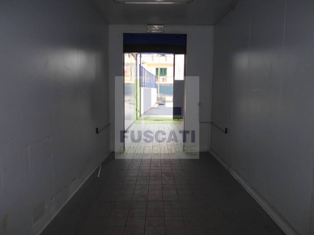 immagine annuncio 6 di 12