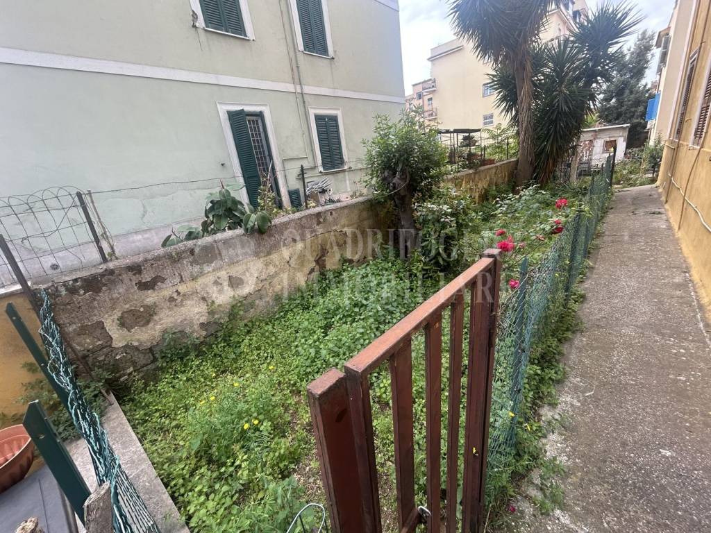 immagine annuncio 10 di 12