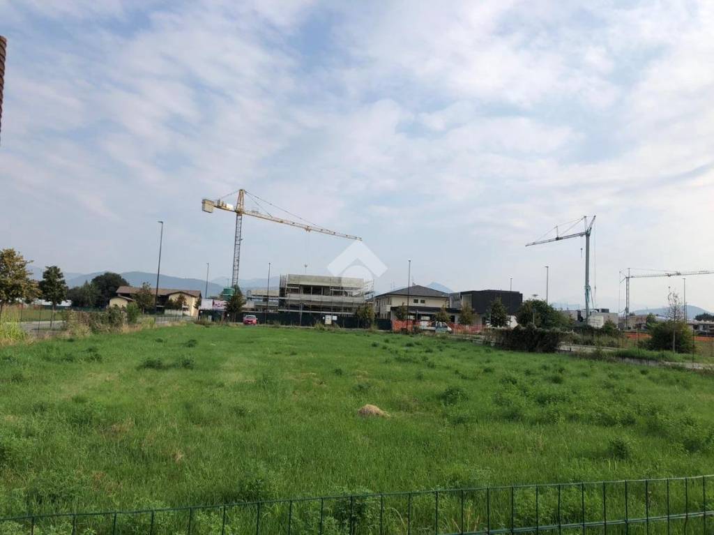 immagine annuncio 2 di 7