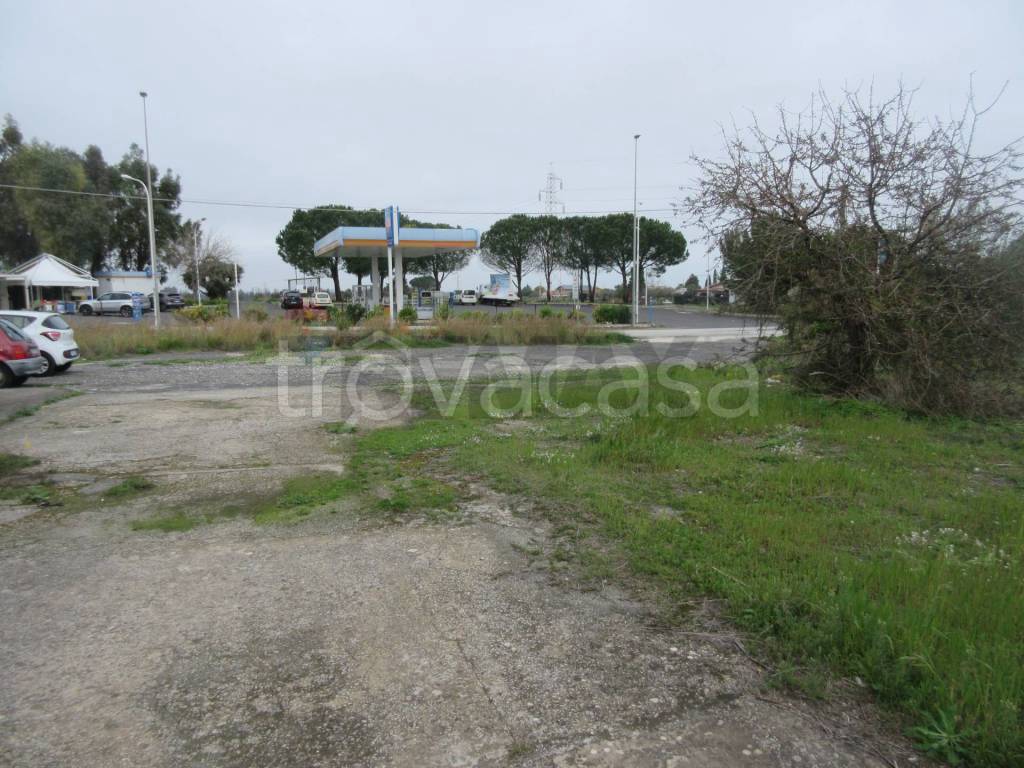 immagine annuncio 9 di 13