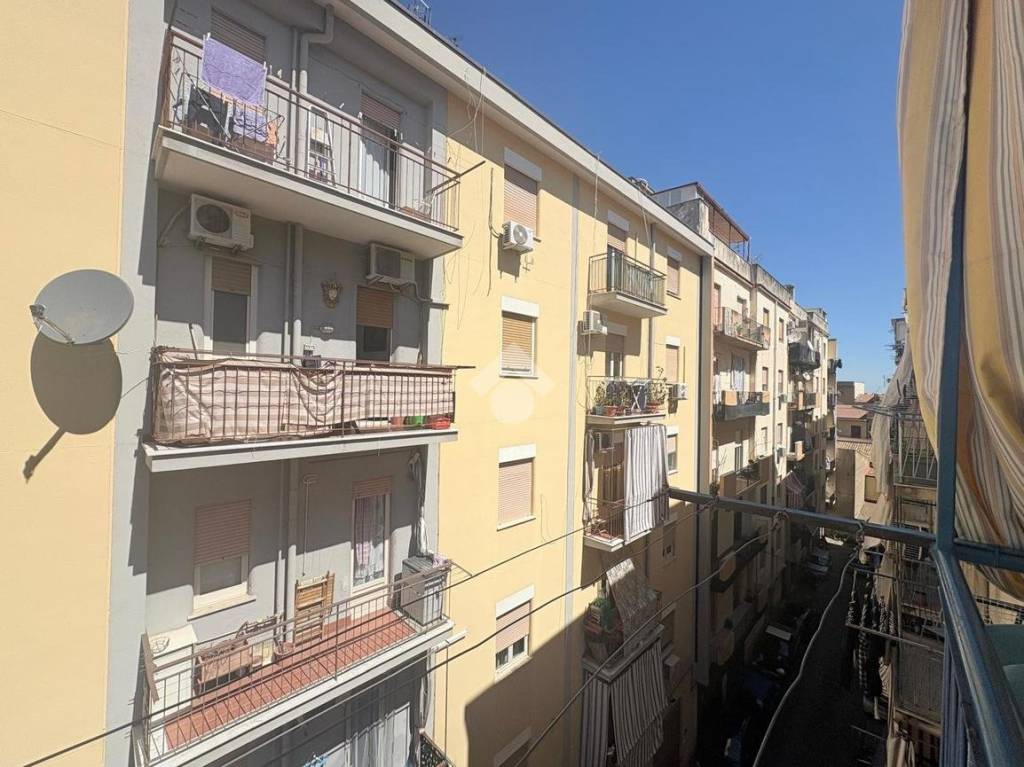 immagine annuncio 9 di 14