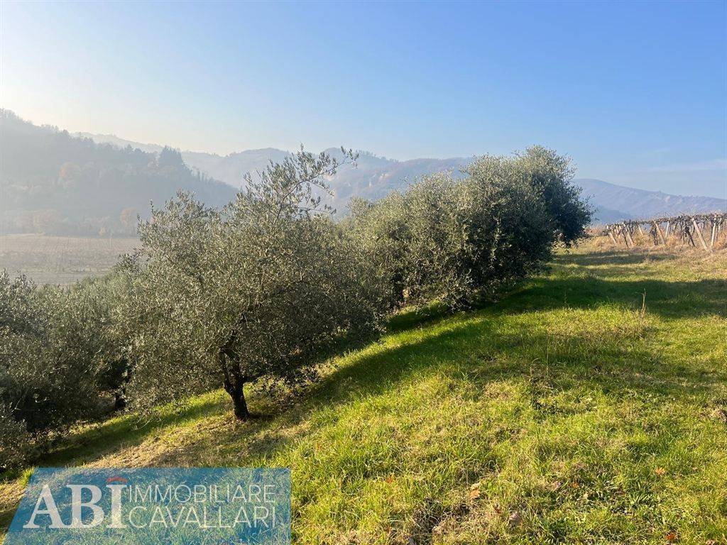 immagine annuncio 9 di 13