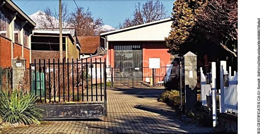 immagine annuncio 1 di 11