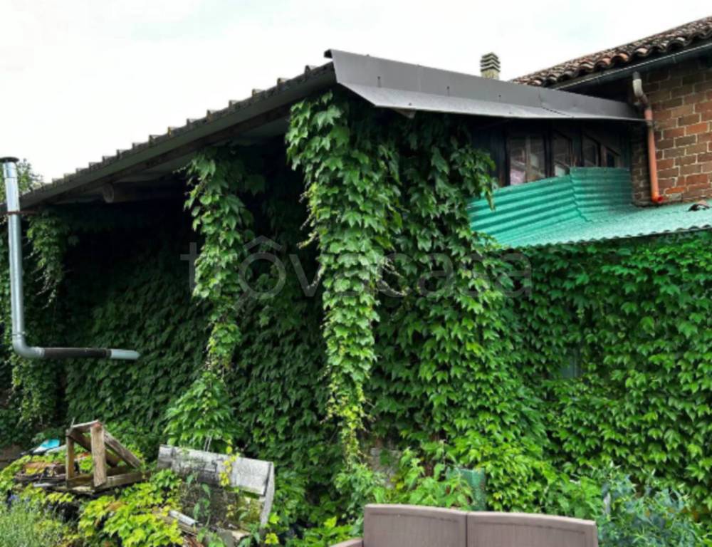 immagine annuncio 3 di 11