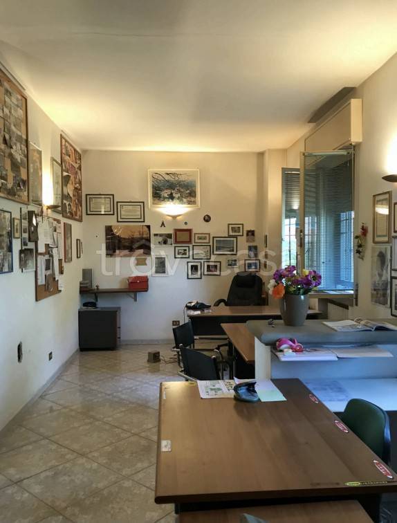 immagine annuncio 7 di 14