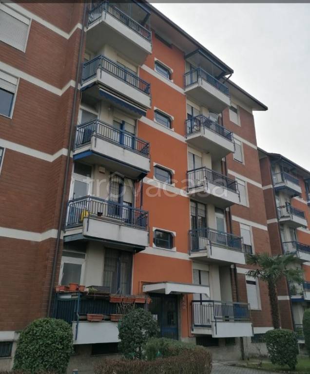 immagine annuncio 2 di 13