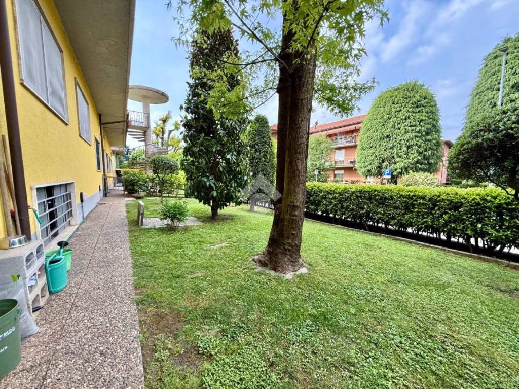immagine annuncio 9 di 15