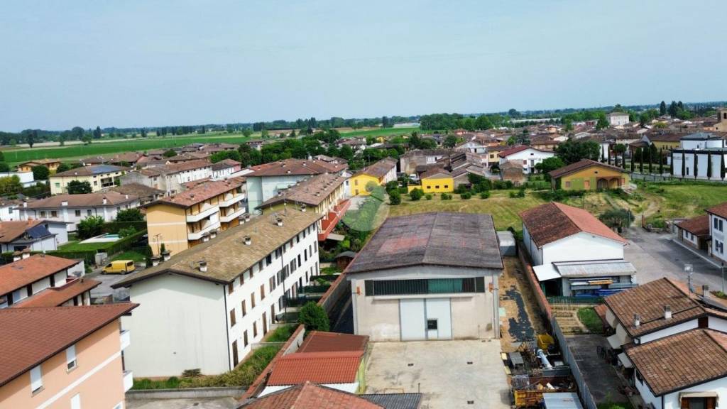 immagine annuncio 6 di 12