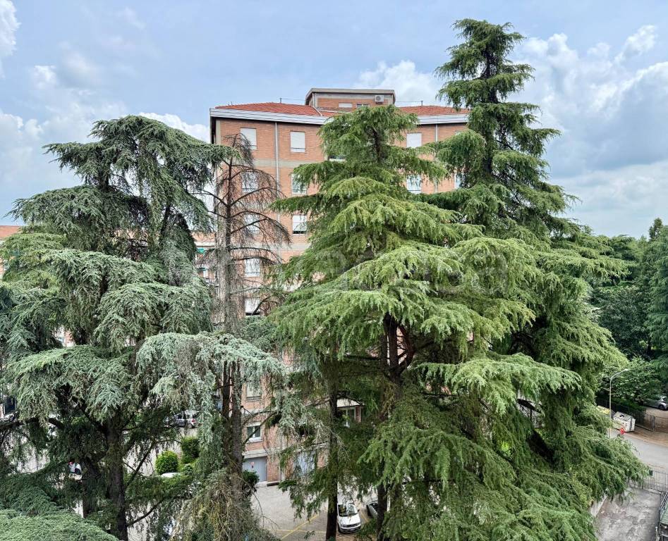 immagine annuncio 7 di 9
