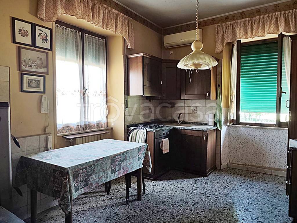 immagine annuncio 4 di 14